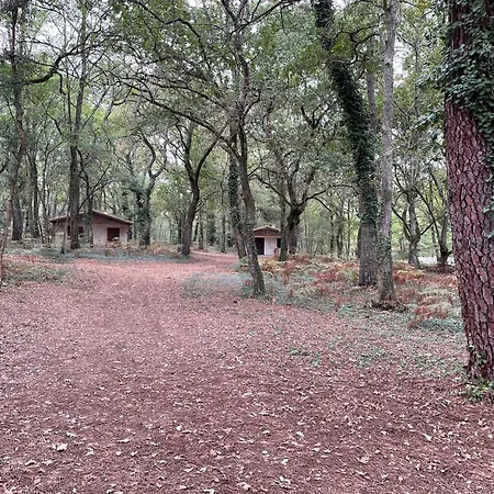 Cap Village * Barbaste